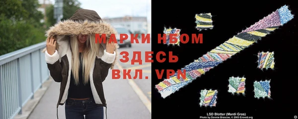 ГАЛЛЮЦИНОГЕННЫЕ ГРИБЫ Алексеевка