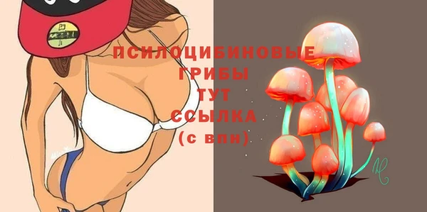 скорость Алексин