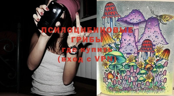 ГАЛЛЮЦИНОГЕННЫЕ ГРИБЫ Алексеевка