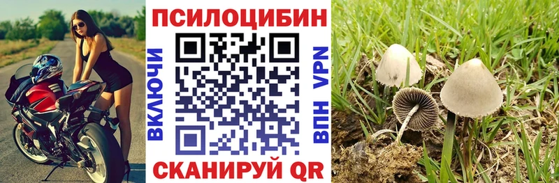 Псилоцибиновые грибы мухоморы  наркотики  Киреевск 